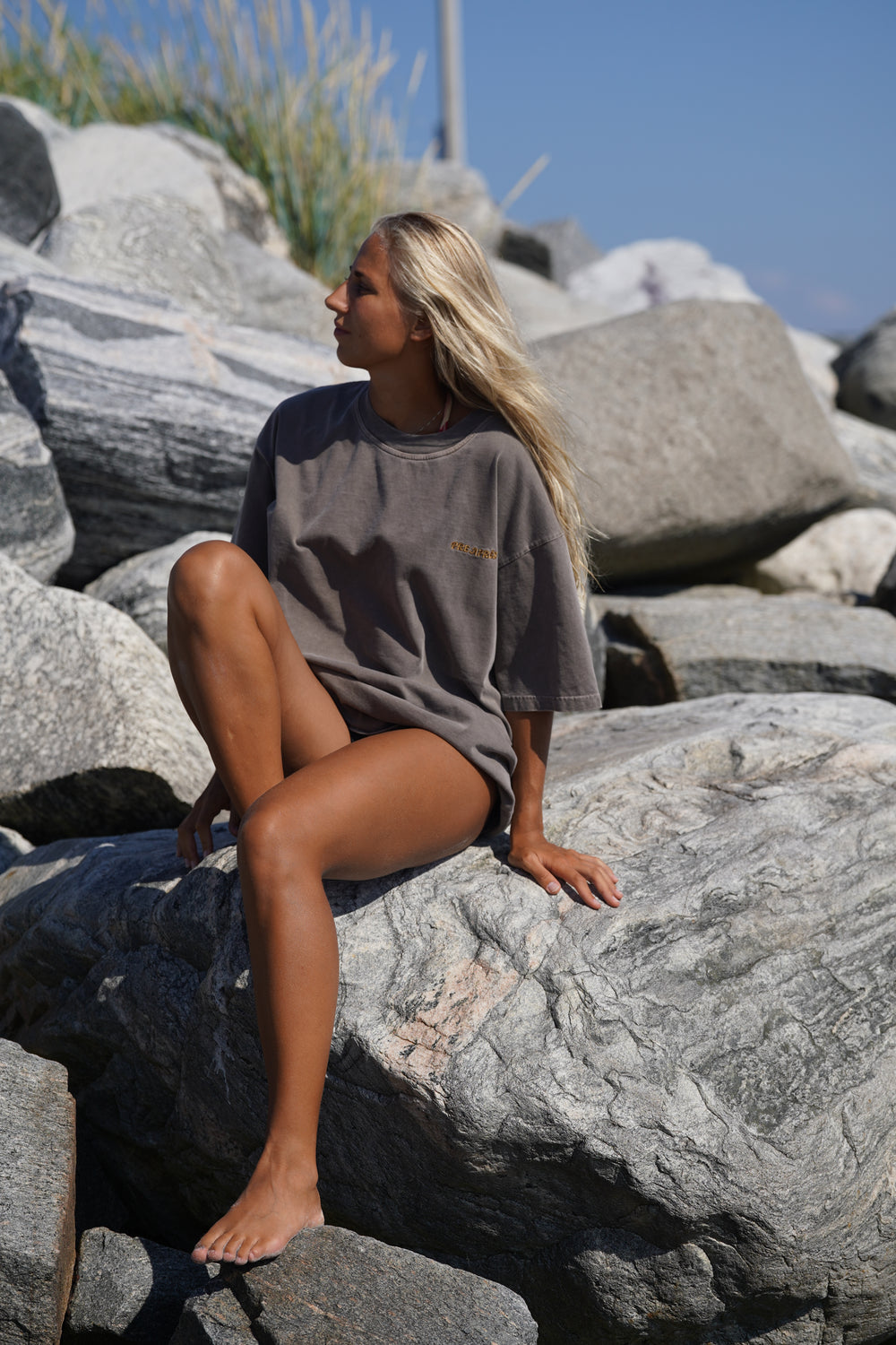 Base Washed Tee - Soft Brown