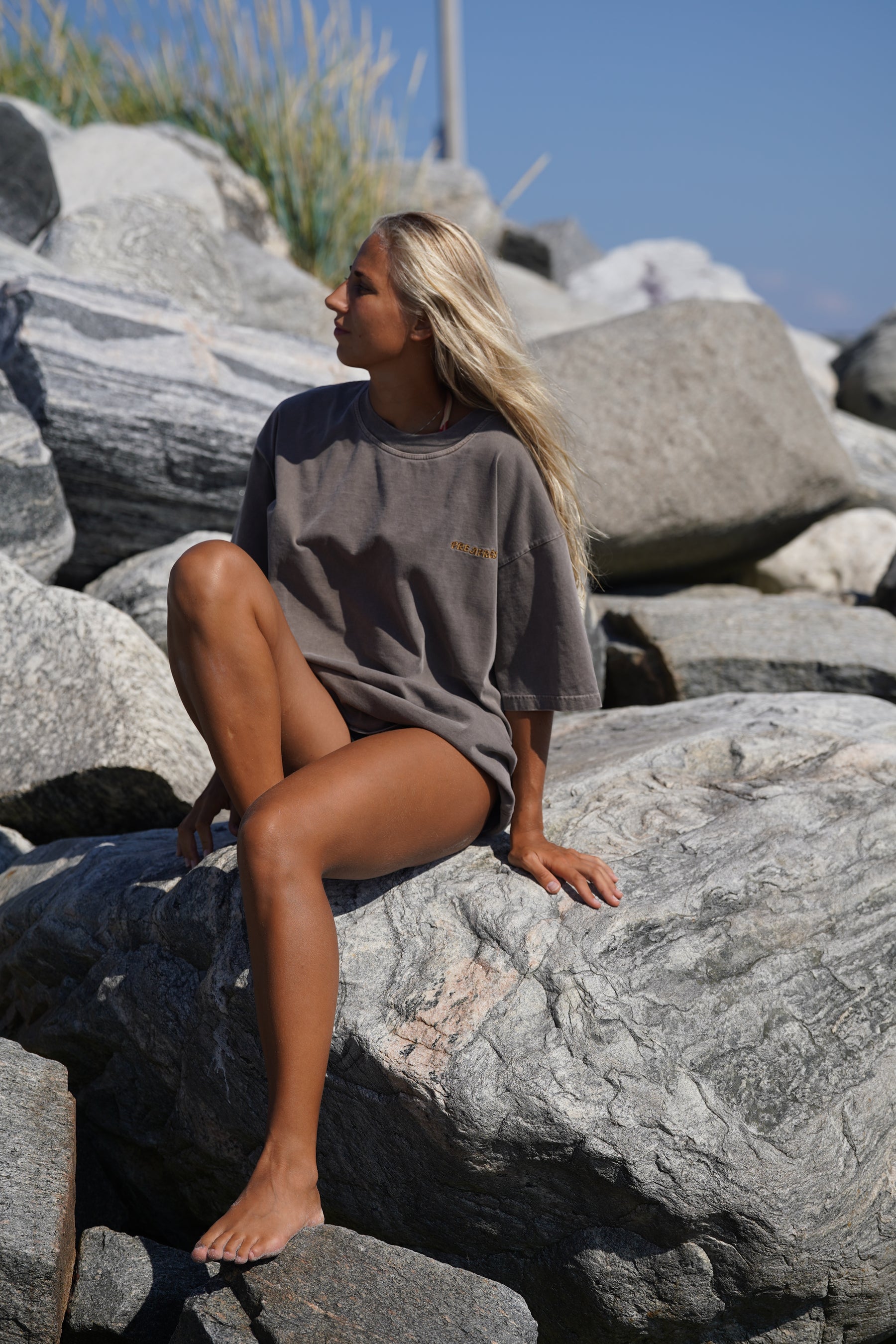 Base Washed Tee - Soft Brown