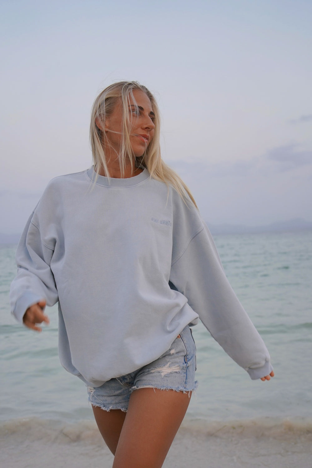 Vintage Washed Sweatshirt - Blue Breeze